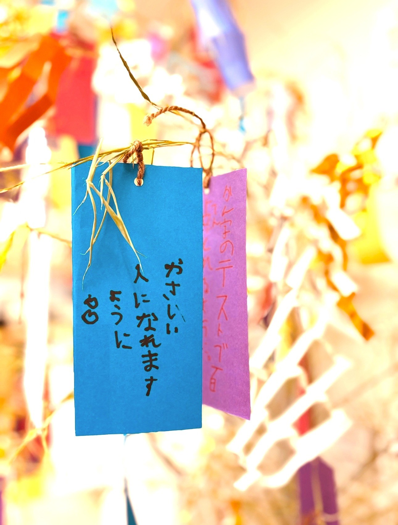 623fe7dc0878c26f815c4722d6976f8c-1759266456.jpg 623fe7dc0878c26f815c4722d6976f8c-1759266456.jpg